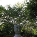 미륵리 불두 이미지