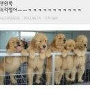 날 고백해야 해