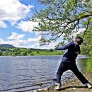 비둘기집 이미지