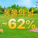 국제종합가구 - 경주시 원화로 308-2 | 국제종합가구