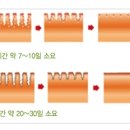 임마누엘슈퍼