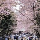 여주-0959 네이버블로그