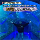 아쿠아리움 | 단양 다누리아쿠아리움 후기 아이와 함께 가볼만한 곳