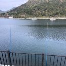 놀터캠핑장 | 경남 고성[놀터 캠핑장] 9번 사이트 2박 후기