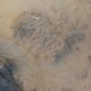 일장천약수터 이미지