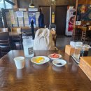 조선왕릉원정대(1~7일차) 후기