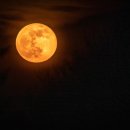 만월한의원 이미지