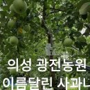 광전농원