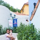 시를 쓰는 오리 이미지