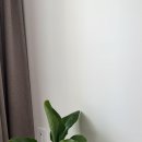 화신식물원 이미지