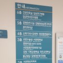 강동구청 서관 네이버블로그