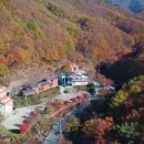 민주지산자연휴양림 이미지