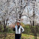 서울숲, 꽃과 함께 걷다. 이미지