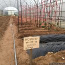 찬우농장 이미지