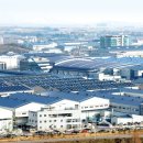 골든루트로 이미지