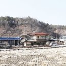 용암2리 이미지