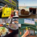 강원도 동해 | P쀼의 즉흥 1박2일 묵호여행 뉴동해관광호텔 카페한결 미유키말차 브릭베이커스동해 조개...