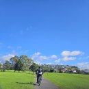 백서른여섯번째 2026년 4월 26일 : 오레와 Te Ara Tahuna Estuary Cycleway 이미지