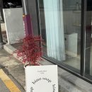 비노솝 | 광주 아이랑 실내데이트 : 성인클래스, 키즈 원데이클래스/ <비노솝>
