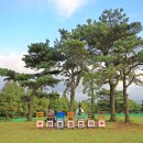 천년나무4단지작은도서관 이미지