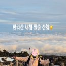 관음사입구 | 2026 새해 한라산 일출 관음사 코스 산행 후기