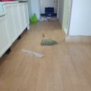 도배나라 이미지