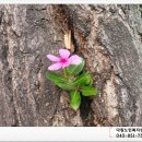 은행나무재가복지센터 네이버블로그