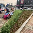 꽃단장 이미지