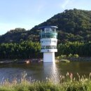 태화강 나룻배 | 태화강대공원 십리대숲에서 태화강전망대 회전카페까지 나룻배 이용했어요