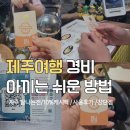 제주여행 주유값 벌기 탐나는전 카드 캐시백 처음 써본후기