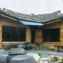 나무와흙 Daum카페