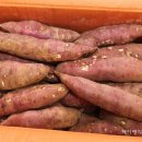 닭키우는 회장님 이미지