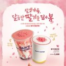 핑크다방 이미지