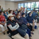 대한노인회 보령시지회 이미지