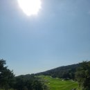 우리들리조트제주(대중형 18홀) | 서귀포팬텀CC(구 우리들CC) 1박 2일 라운딩 솔직 후기