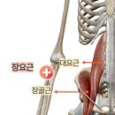모션업PT 이미지