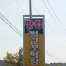 순흥애꽃 이미지