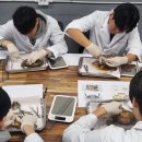 여수해양과학고등학교 이미지