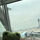 어울림 민박 | 나 독일 다시 왔다!!!프랑크푸르트 공항 근처 동네 호텔/민박 Hotel Zum Schwarzen Bock 후기