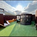 마이펫 애견 미용 이미지