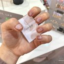 레브 네일 (Reve nail)