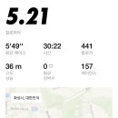 옥타버스