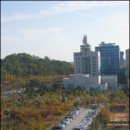 고려쇼핑센터 이미지