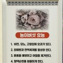 씨유증평 증평읍 초중한라점 | 증평 현지인 맛집 버섯 짜글이는 장인맛에서