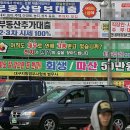 행정용 15 뉴시스