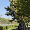 하나로여행사주 - 수성구 지범로 188 | 하나로여행사주