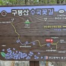 구봉산 도등 이미지