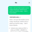리얼톡톡