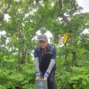 인곡마을회관 이미지