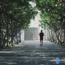 새로본한방병원 이미지